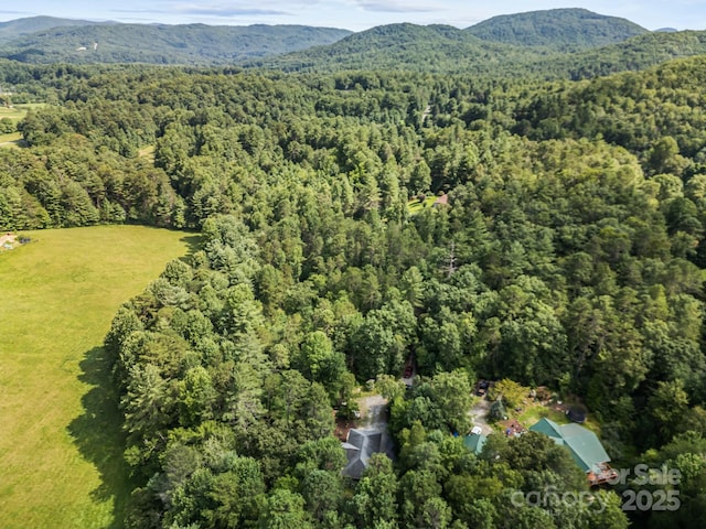 276 Tee Smith Dr, Pisgah Forest, NC 28768 - photo 41