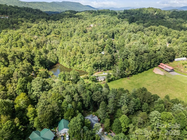 276 Tee Smith Dr, Pisgah Forest, NC 28768 - photo 43