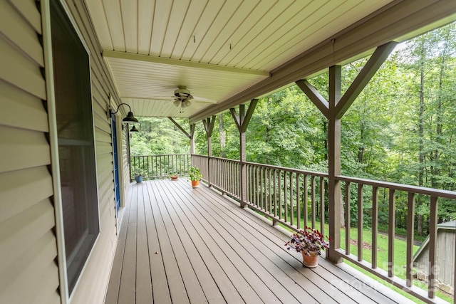 15595 S US Highway 421 S, Deep Gap, NC 28618 - photo 16