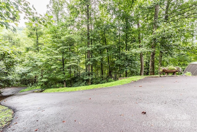 15595 S US Highway 421 S, Deep Gap, NC 28618 - photo 35