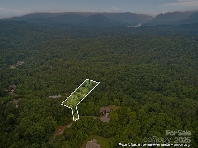99999 Deer Jump Trl Unit 348, Lake Lure, NC 28746 - photo 2
