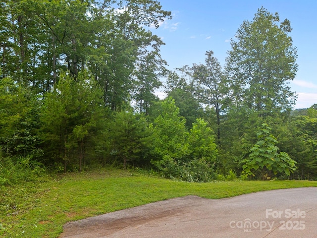 99999 Deer Jump Trl Unit 348, Lake Lure, NC 28746 - photo 4