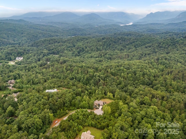 99999 Deer Jump Trl Unit 348, Lake Lure, NC 28746 - photo 6