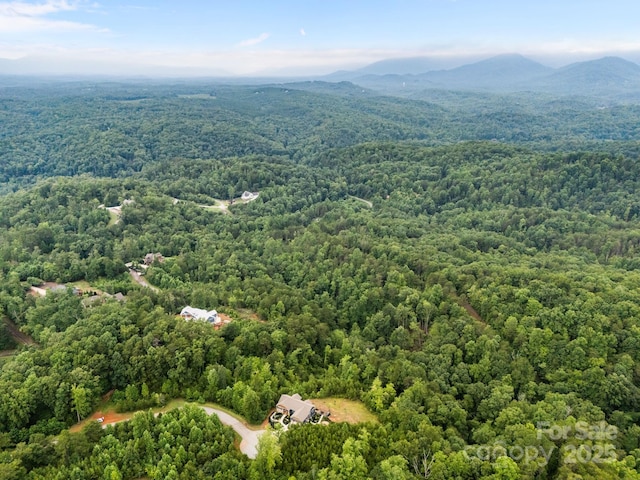 99999 Deer Jump Trl Unit 348, Lake Lure, NC 28746 - photo 7