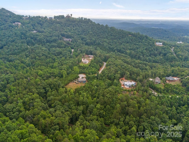 99999 Deer Jump Trl Unit 348, Lake Lure, NC 28746 - photo 9
