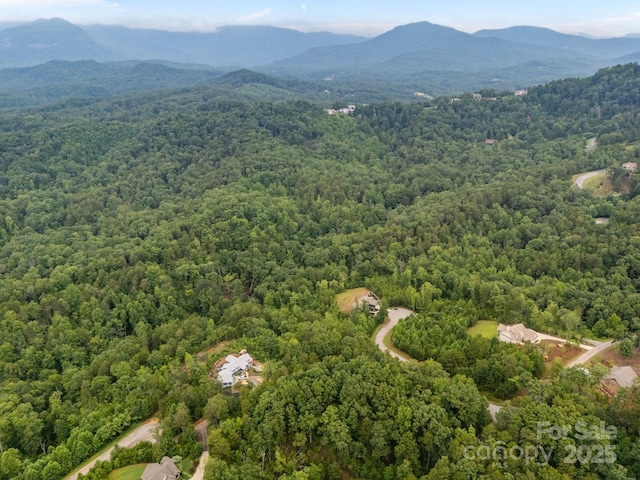 99999 Deer Jump Trl Unit 348, Lake Lure, NC 28746 - photo 11