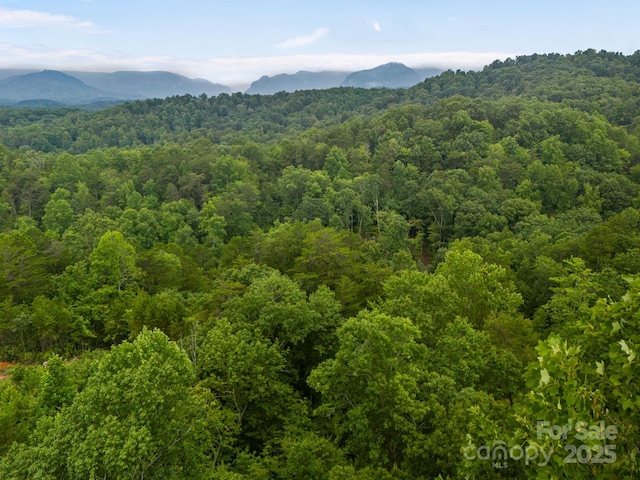 99999 Deer Jump Trl Unit 348, Lake Lure, NC 28746 - photo 13