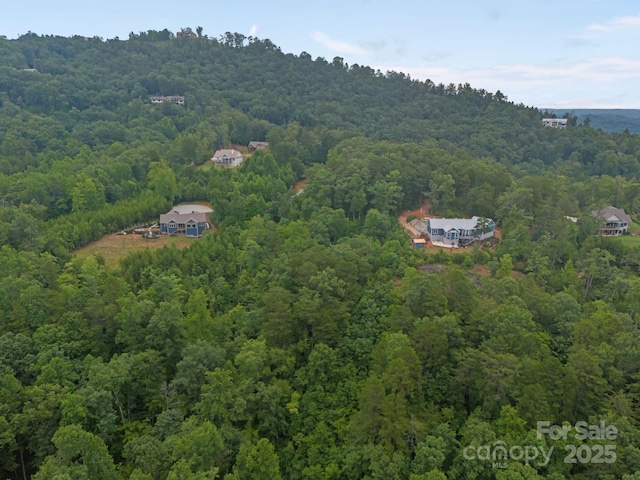 99999 Deer Jump Trl Unit 348, Lake Lure, NC 28746 - photo 15