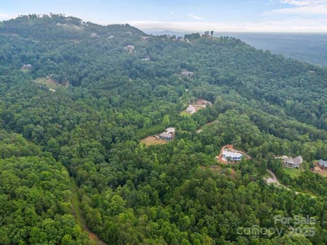 99999 Deer Jump Trl Unit 348, Lake Lure, NC 28746 - photo 18