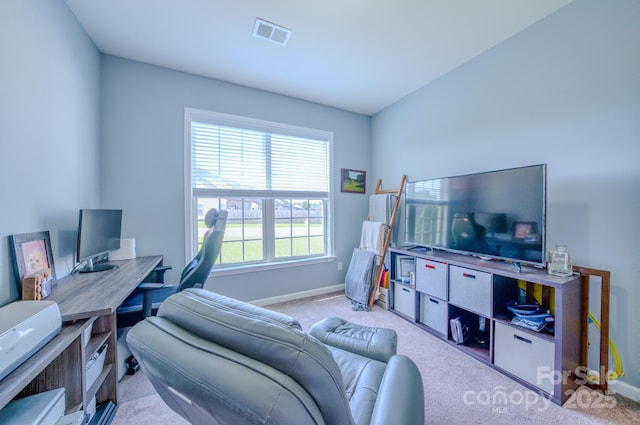 303 E Hiawassee Rd, Fletcher, NC 28732 - photo 31