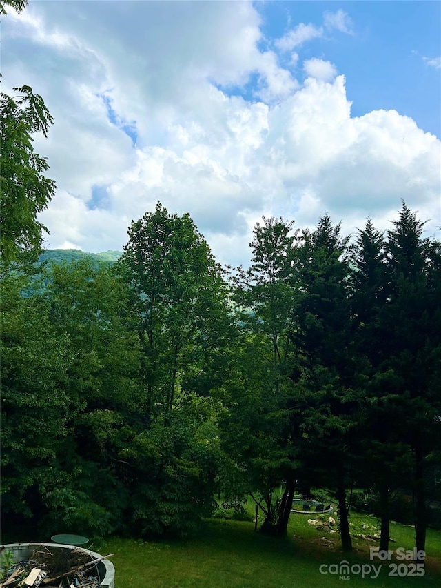 12 Elk Way, Maggie Valley, NC 28751 - photo 10