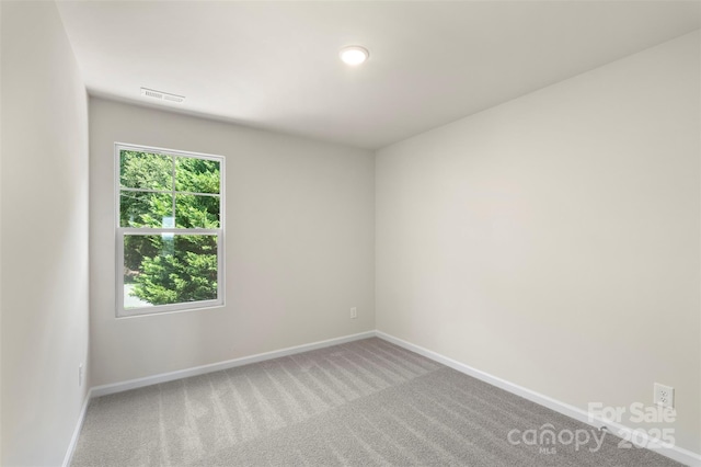 305 Firefly Path, Shelby, NC 28150 - photo 38