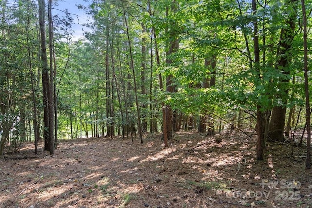 9178 Fair Oak Dr, Sherrills Ford, NC 28673 - photo 7