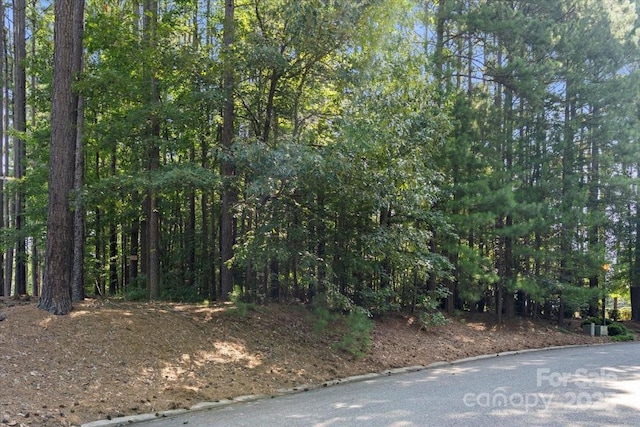 9178 Fair Oak Dr, Sherrills Ford, NC 28673 - photo 9