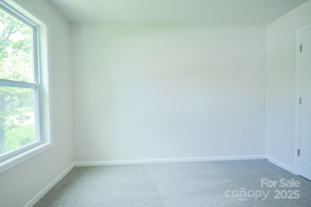 362 Creekview Rd, Hendersonville, NC 28792 - photo 23