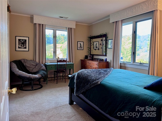 225 Hobson Branch Rd, Weaverville, NC 28787 - photo 11