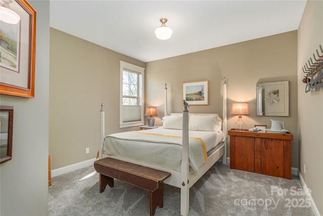28 Sparkle Dun Dr, Biltmore Lake, NC 28715 - photo 23