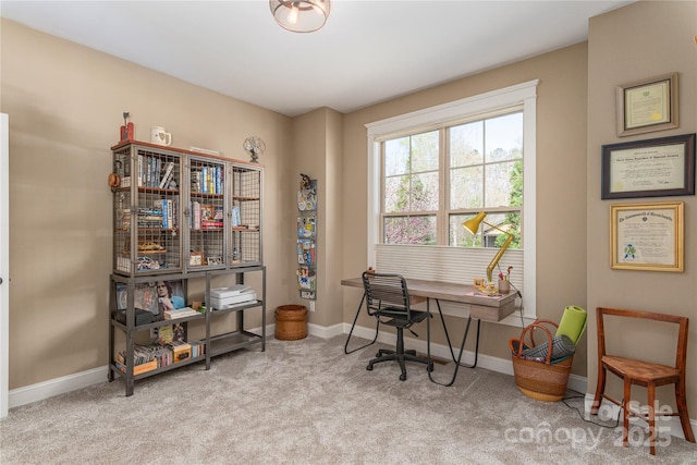 28 Sparkle Dun Dr, Biltmore Lake, NC 28715 - photo 25