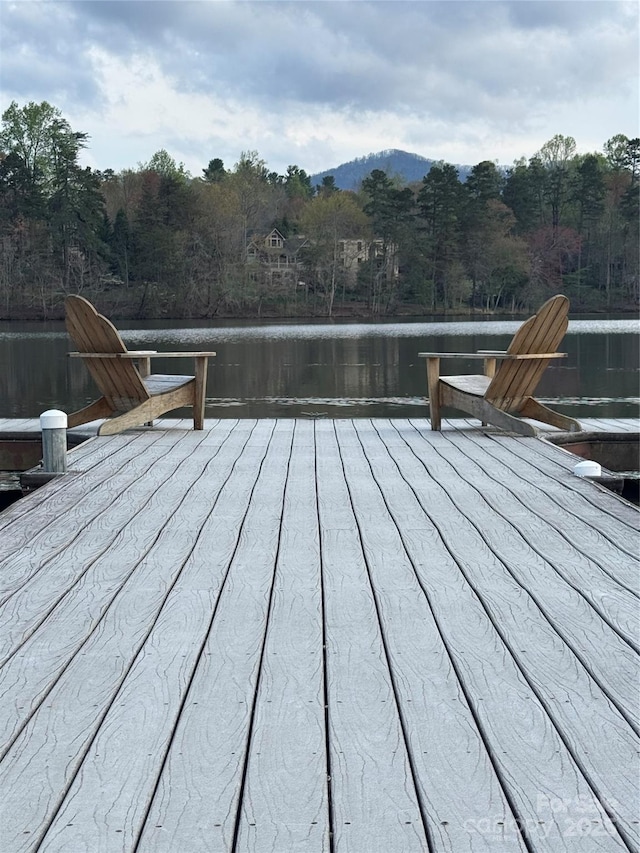 28 Sparkle Dun Dr, Biltmore Lake, NC 28715 - photo 41