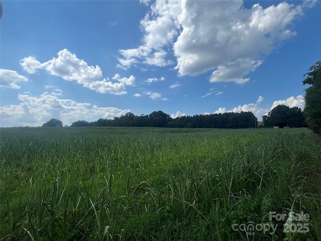 LOT194 Hallman St, Cherryville, NC 28021 - photo 2