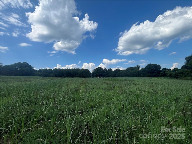 LOT194 Hallman St, Cherryville, NC 28021 - photo 5