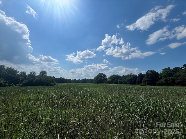 LOT194 Hallman St, Cherryville, NC 28021 - photo 8