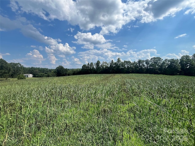 LOT194 Hallman St, Cherryville, NC 28021 - photo 9