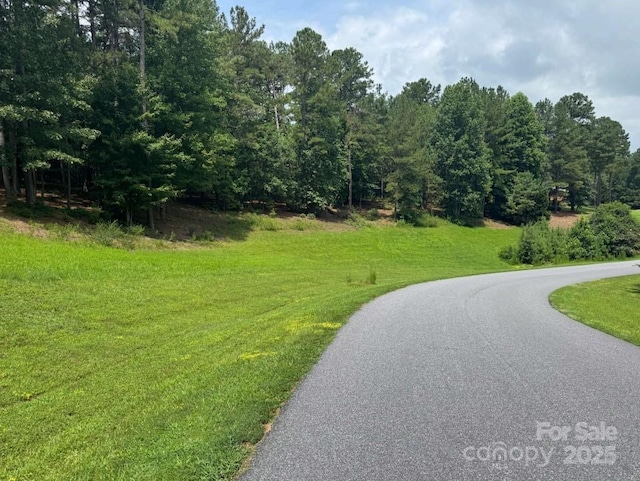 110 Rivercliff Dr E, Connelly Springs, NC 28612 - photo 1