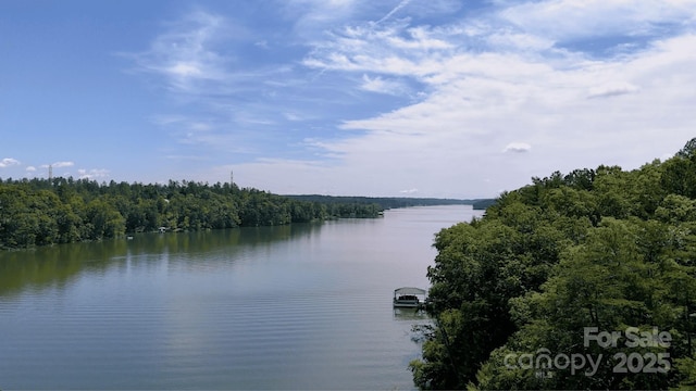 110 Rivercliff Dr E, Connelly Springs, NC 28612 - photo 3