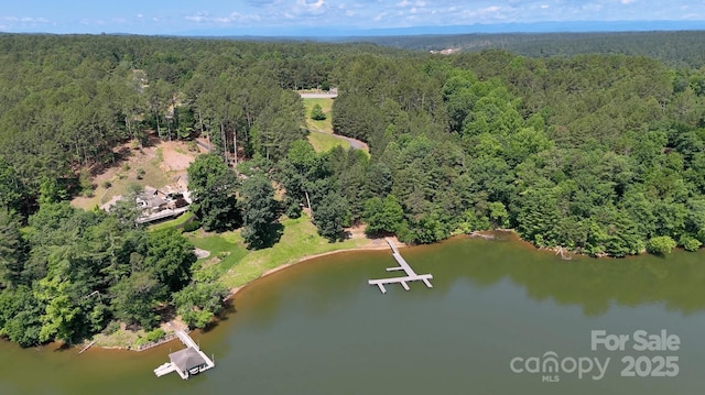 110 Rivercliff Dr E, Connelly Springs, NC 28612 - photo 4