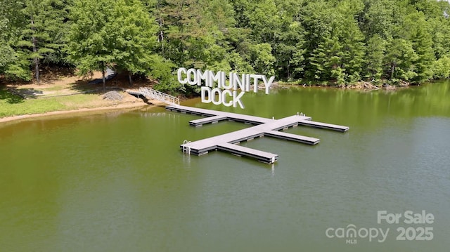 110 Rivercliff Dr E, Connelly Springs, NC 28612 - photo 5
