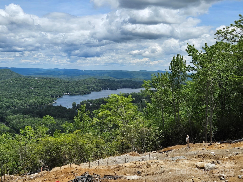 341 Mills Creek Pt Unit 100, Lake Toxaway, NC 28747 - photo 1