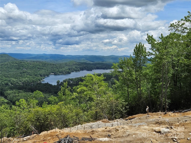 341 Mills Creek Pt Unit 100, Lake Toxaway, NC 28747 - photo 1