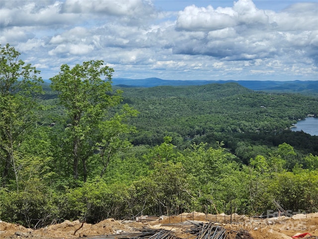 341 Mills Creek Pt Unit 100, Lake Toxaway, NC 28747 - photo 2