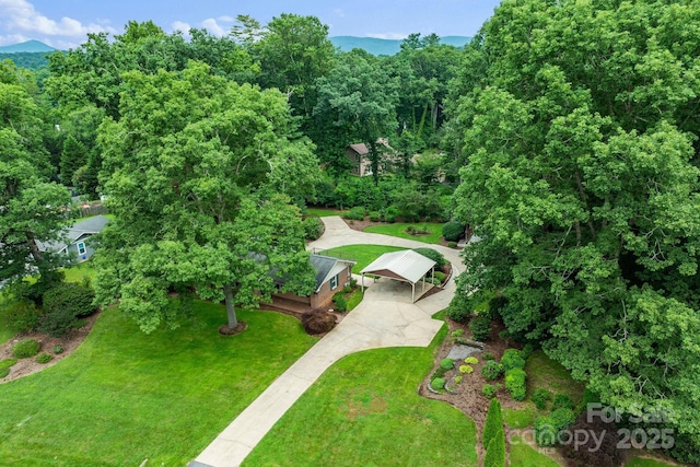 6693 Brevard Rd, Etowah, NC 28729 - photo 10
