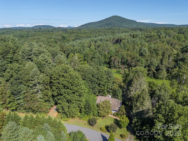 7265 Naguib Amin St, Hickory, NC 28602 - photo 36