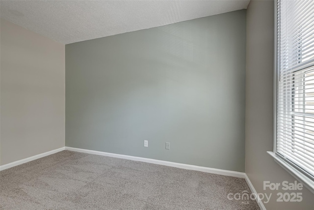 4705 Old Lantern Way, Charlotte, NC 28212 - photo 23