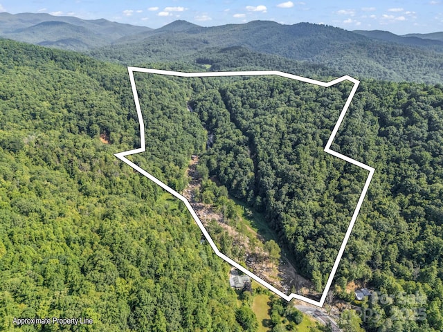2716 Lower Flat Creek Rd, Black Mountain, NC 28711 - photo 4