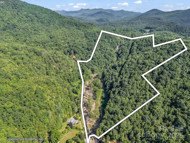 2716 Lower Flat Creek Rd, Black Mountain, NC 28711 - photo 5