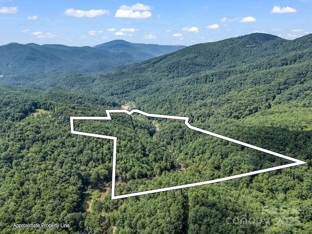 2716 Lower Flat Creek Rd, Black Mountain, NC 28711 - photo 6