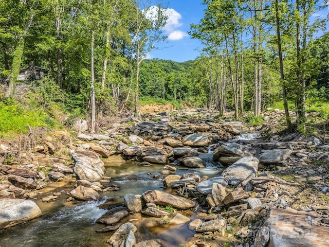 2716 Lower Flat Creek Rd, Black Mountain, NC 28711 - photo 7