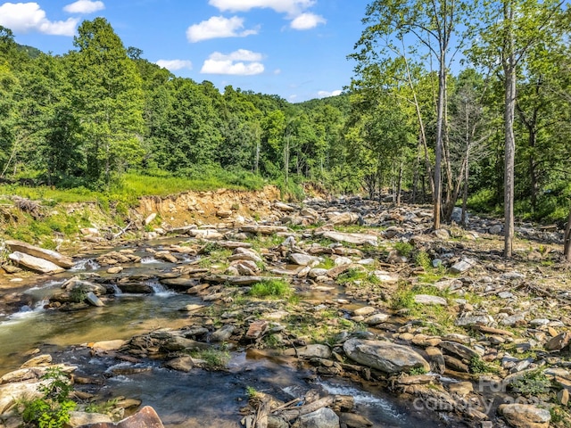 2716 Lower Flat Creek Rd, Black Mountain, NC 28711 - photo 8