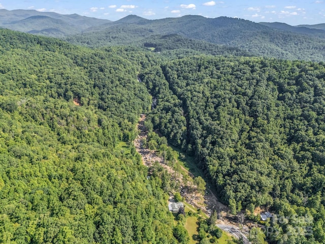2716 Lower Flat Creek Rd, Black Mountain, NC 28711 - photo 13