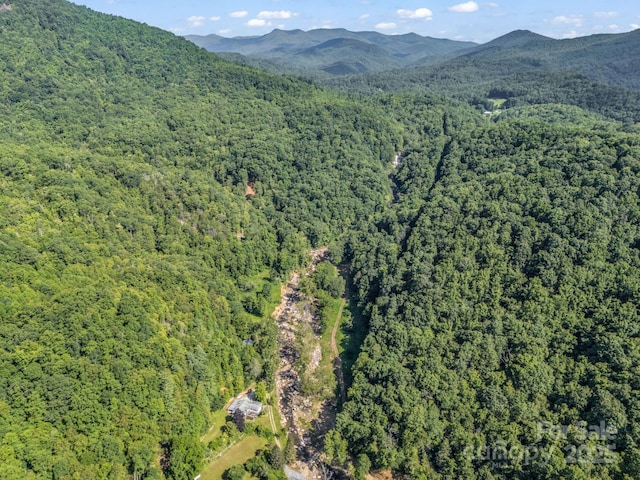 2716 Lower Flat Creek Rd, Black Mountain, NC 28711 - photo 14