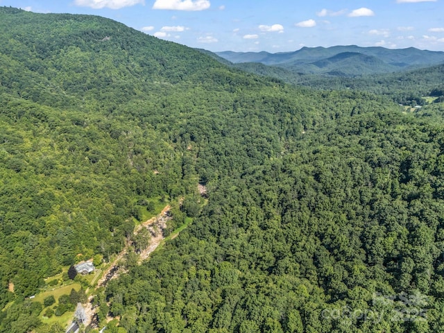 2716 Lower Flat Creek Rd, Black Mountain, NC 28711 - photo 15