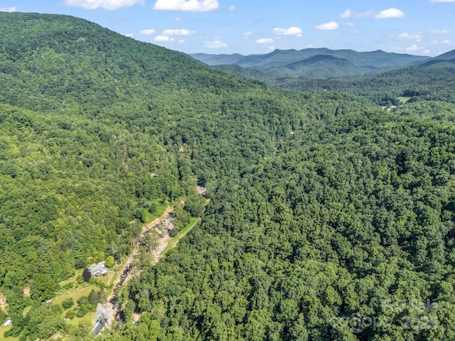 2716 Lower Flat Creek Rd, Black Mountain, NC 28711 - photo 16