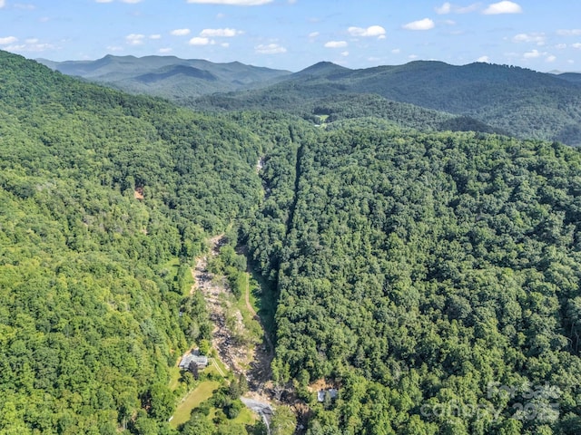 2716 Lower Flat Creek Rd, Black Mountain, NC 28711 - photo 17
