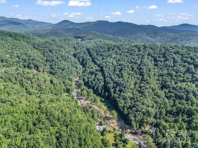 2716 Lower Flat Creek Rd, Black Mountain, NC 28711 - photo 18