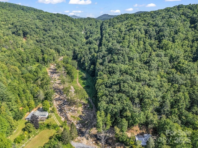 2716 Lower Flat Creek Rd, Black Mountain, NC 28711 - photo 20