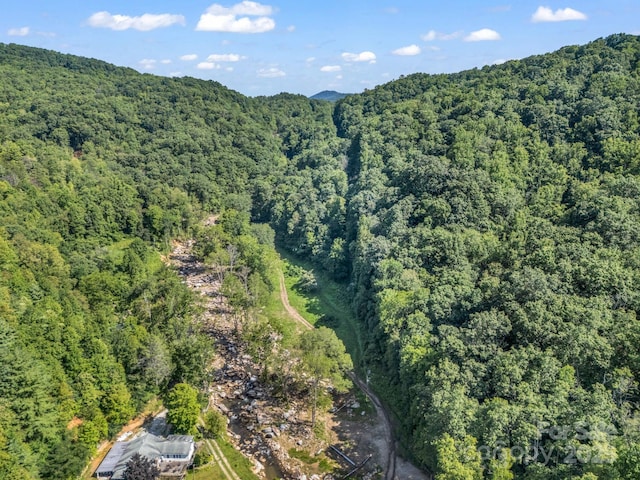 2716 Lower Flat Creek Rd, Black Mountain, NC 28711 - photo 21